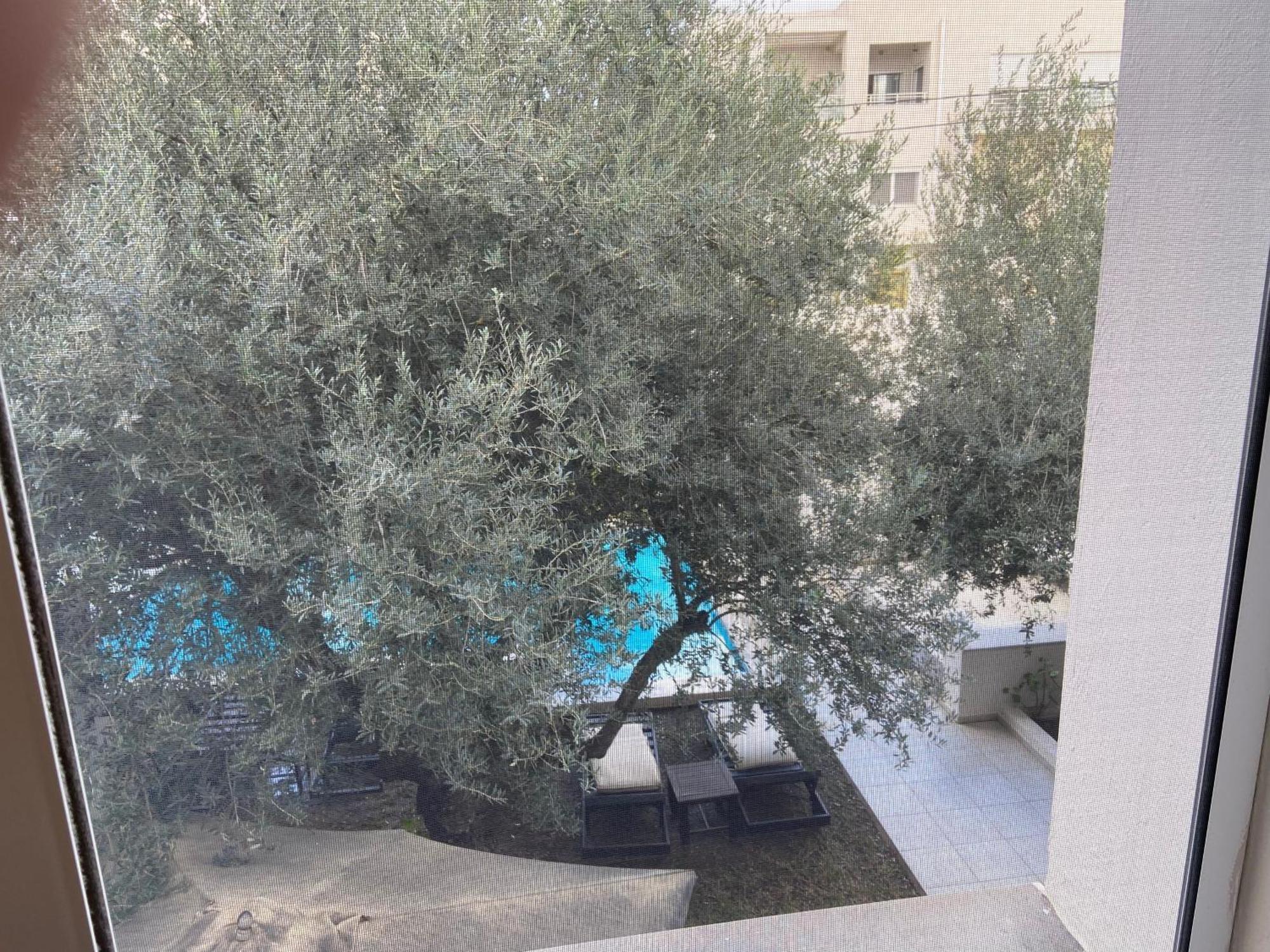 Dar Misk la Marsa Hotell Sukrah Exteriör bild